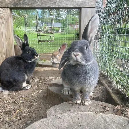 Hellinki By Interhome *