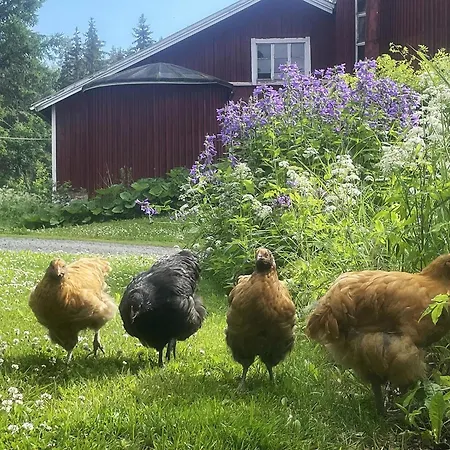 Hellinki By Interhome