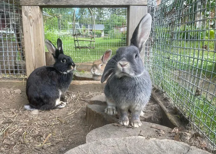 Hellinki By Interhome *